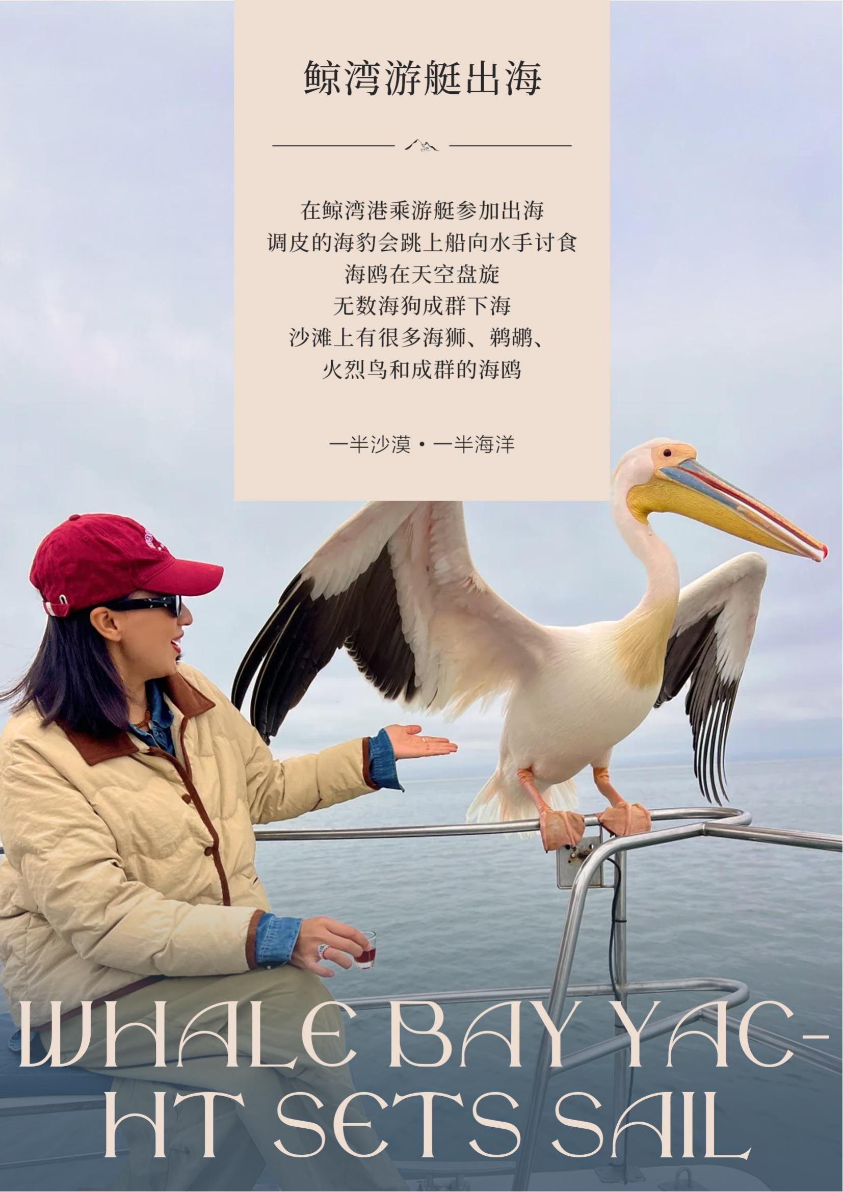 TOPTOUR-（經典南部非洲4國））納米比亞 津巴布韋 贊比亞 博茨瓦納12天(1)_06